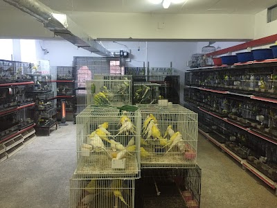 Kanka Pet Shop