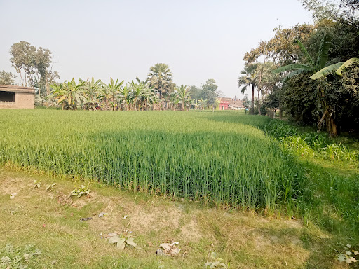 Gallery image 1
