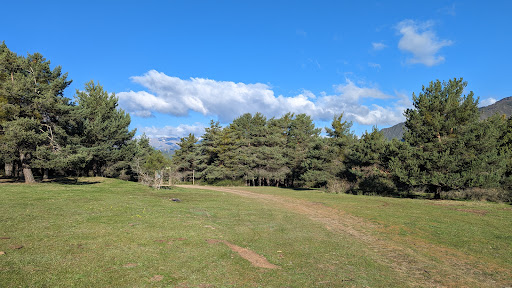 Pla De Buiro - Visual
