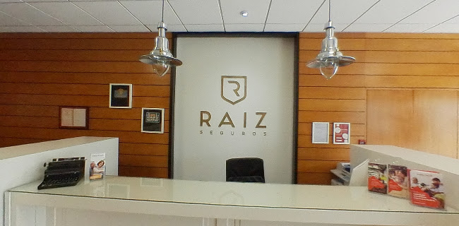 Raiz Seguros