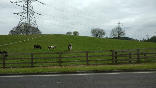 Chopwell Woodland Park