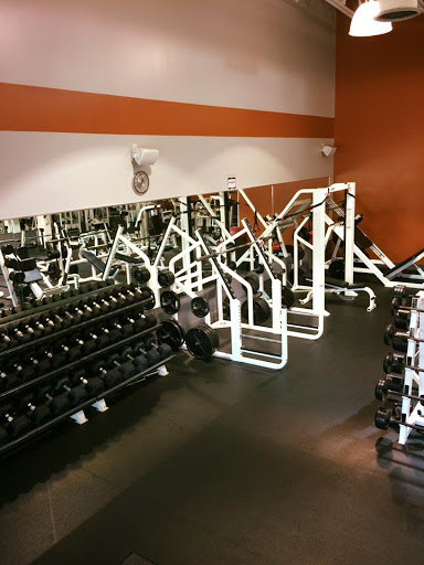 SG fitness - Thumbnail
