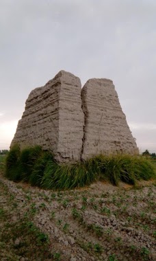 AALI WALA dera-ghazi-khan