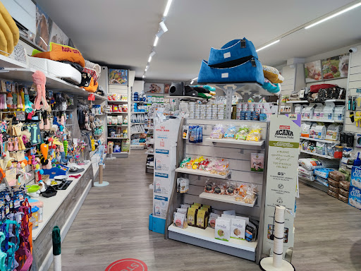 Nobil Pet Gallery - Italy