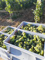 Earl Minier à Saint-Escobille