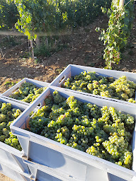 Photo n°1 de Earl Minier à Saint-Escobille (Ferme)
