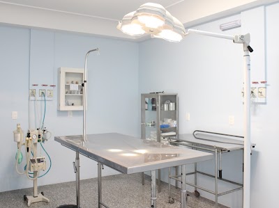 veterinary-care