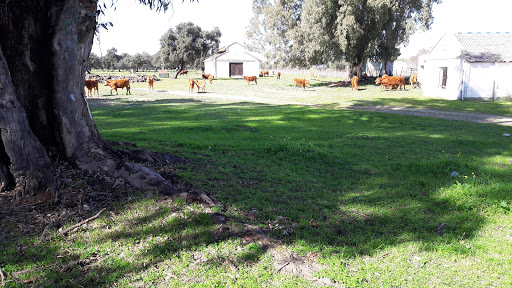Paraje de Gatos — Parque Natural de Doñana - Thumbnail