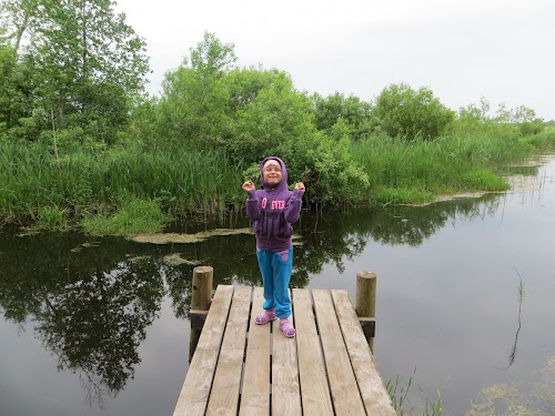 Vana paadisadama lõkkekoht ja telkimisala