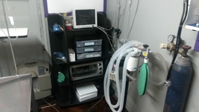 veterinary-care