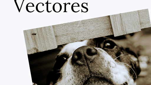 Clínica Veterinaria Carbajosa