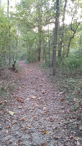 Donna May Campbell Nature Preserve - Darke County Parks - Thumbnail