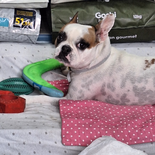 Clínica Veterinaria Portacoeli S.L.