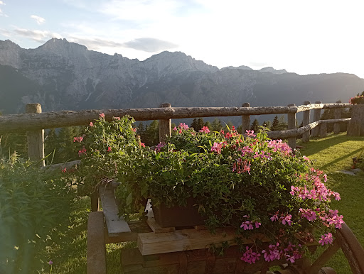 Agriturismo Malga Poccet - Thumbnail