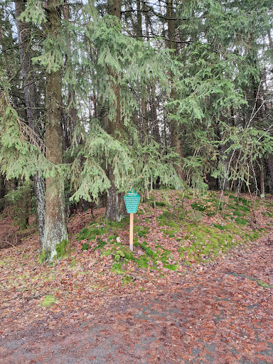 Goldseifenhügel
