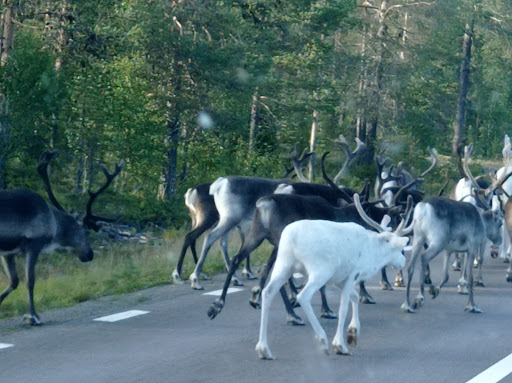 Underbar utsikt över sjön - Thumbnail