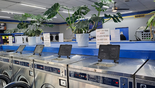 All Clean Laundry of East Point - Thumbnail