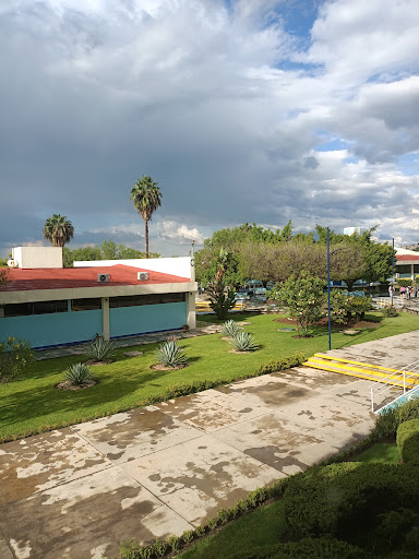 Universidad Técnologica del Suroeste de Guanajuato