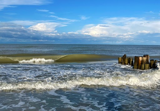 Riviera Surf School - Thumbnail