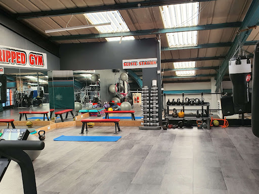 Ripped Gym