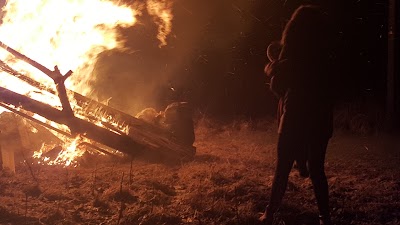 real-estate-agency