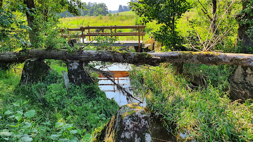 Höckerlinie Simmerath (Westwall / Siegfriedlinie) - Thumbnail