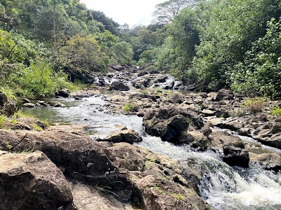 Bamboo Forest Hike