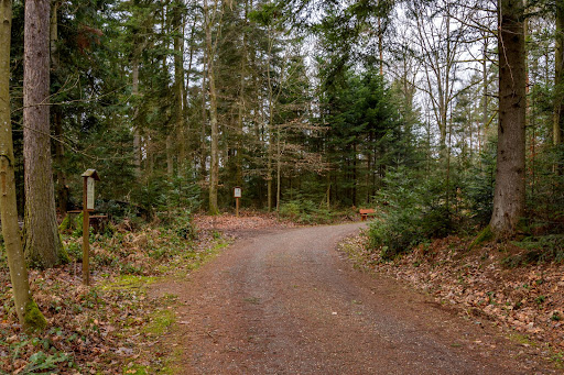 Naturpfad Hagenschieß