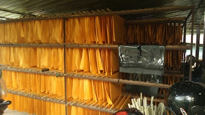 Photos of Eco Maximus