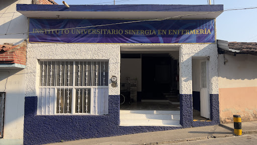 Universidad Sinergia Educativa Coalcomán - Thumbnail