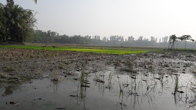 Photos of Mirikpur Bazar Bus Stop