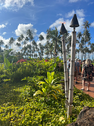 RnR Vacations and Cruises - Thumbnail