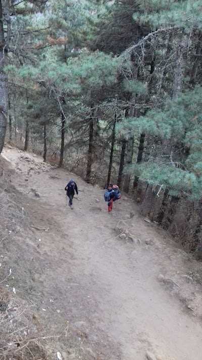 Photos of Everest View Point