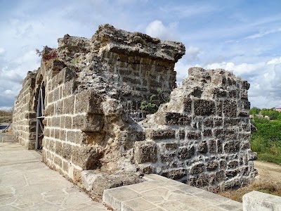 Historic Aspendos Bridge