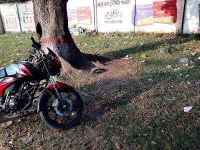 Photos of S. M. Hall Playground