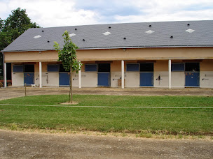 Photo n°4 de E.A.R.L. ELEVAGE L.Y. à Longuenée-en-Anjou (Pension pour chevaux)