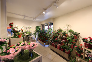 Photo n°26 de Le Jardin des Fleurs à Hazebrouck (Fleuriste)