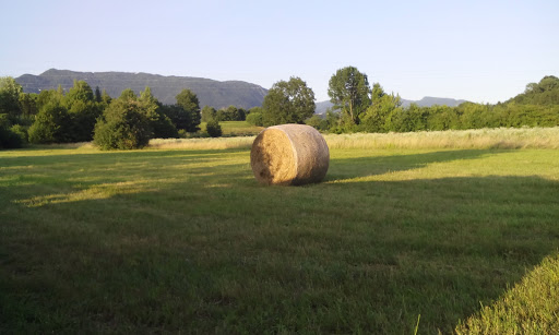 Tarcento - Thumbnail