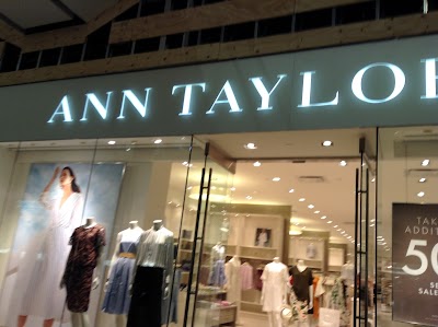 Ann Taylor