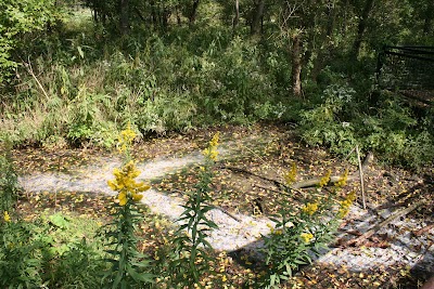 campground