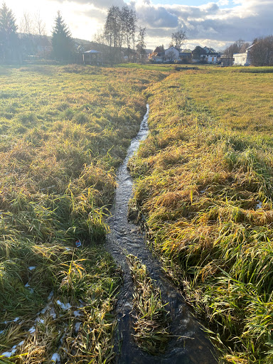 Steinbach Oberviechtach - Thumbnail