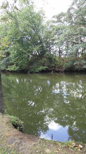 Roger C. Fisher Laurel River Park - Thumbnail