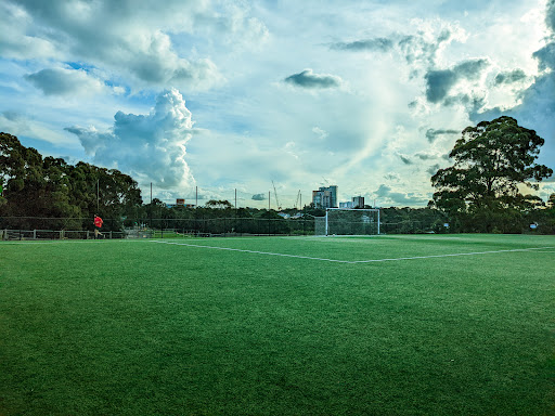Cammeray Park