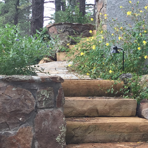 flagstaff native plant and seed