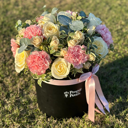 Proper Petals - Visual