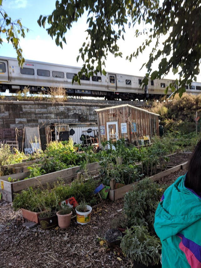 La Finca del Sur Community Garden