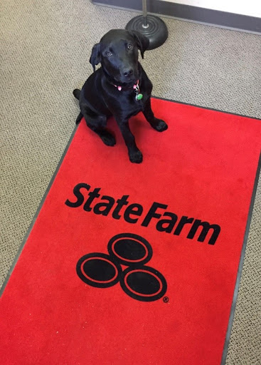 Sam Hunt - State Farm Insurance Agent - Thumbnail