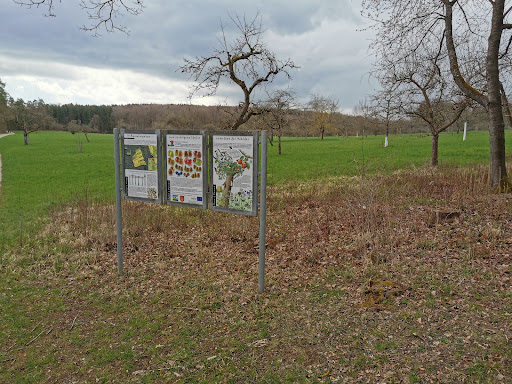Baumbergwiese Gallery - Germany