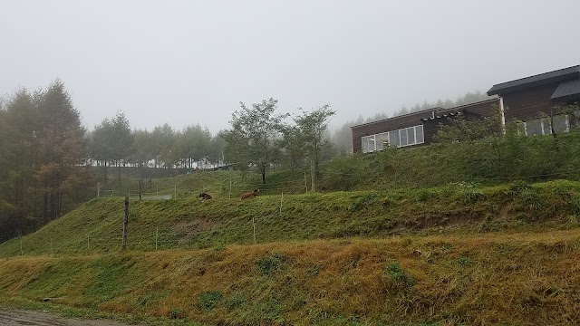 なかほら牧場(中洞牧場)