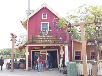 Photos of Toy Story Land
